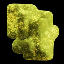 Custom Software & Web Apps